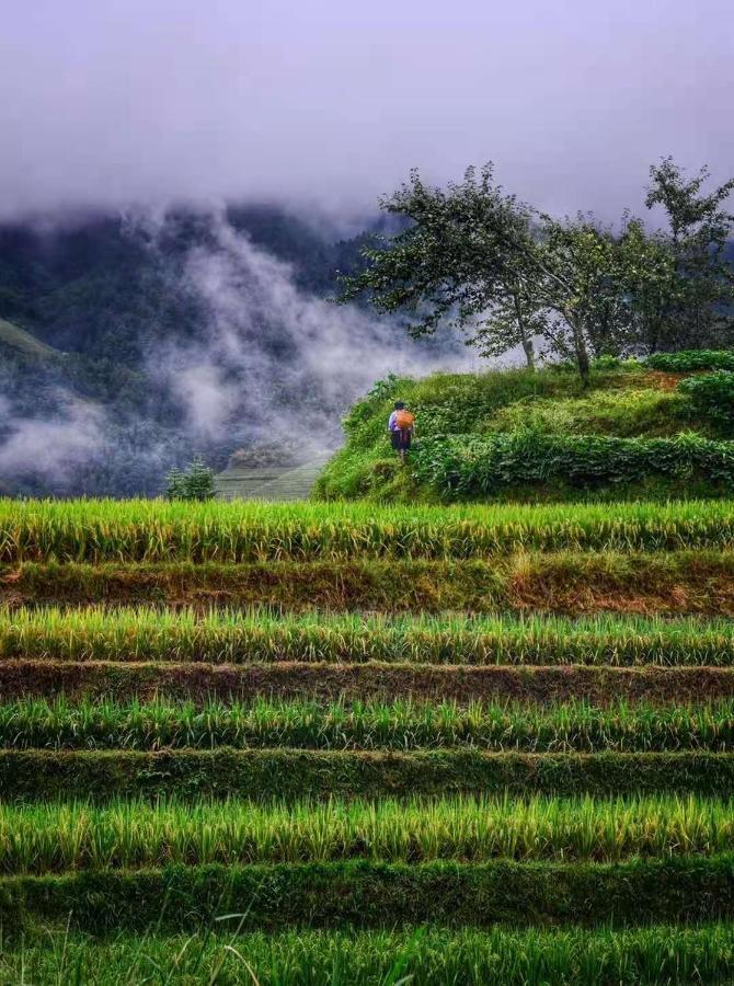 Longji Terrace La Vie Inn Longsheng Eksteriør billede