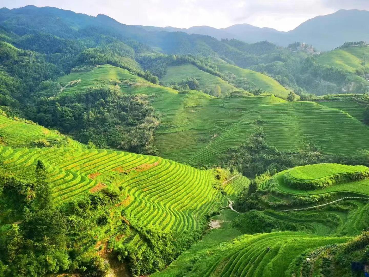 Longji Terrace La Vie Inn Longsheng Eksteriør billede